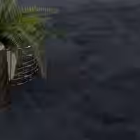 Teppich Calissa navy-blau 150x170 cm oval