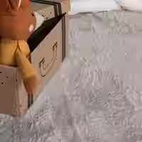 Fellteppich Pelsa grau 120x160 cm fell-form