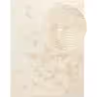 Fellteppich Fluffy Deluxe creme 200x290 cm