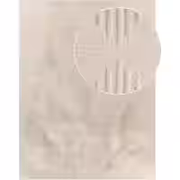 Fellteppich Lelystar beige 120x160 cm