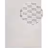 In- & Outdoor-Teppich Venezia elfenbein 60x100 cm