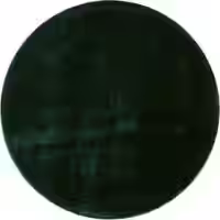 Teppich Calissa grün 160 cm rund