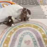 Kinderteppich Ninique pink 160 cm rund