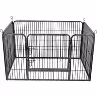 Grauer Welpenauslauf