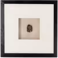 Bilder Edelsteinkunst Force IV 40cm x 40cm