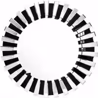 Wandspiegel Apollon 910 Silber / Schwarz