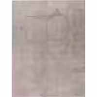 Fellteppich Lelystar grau 80x150 cm