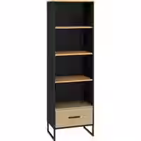 Colt 03 Hochregal Goldeiche