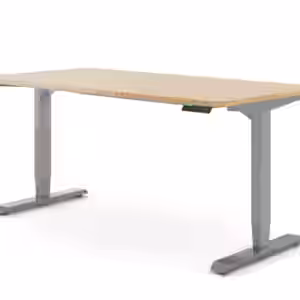 Ergotopia Desktopia Pro X - Elektrisch höhenverstellbarer Schreibtisch / Ergonomischer Tisch mit Memory-Funktion, 7 Jahre Garantie - (Bambus Echtholz, 160x80 cm, Gestell Grau)