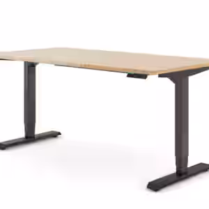 Ergotopia Desktopia Pro X - Elektrisch höhenverstellbarer Schreibtisch / Ergonomischer Tisch mit Memory-Funktion, 7 Jahre Garantie