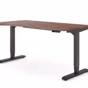 Ergotopia Desktopia Pro X - Elektrisch höhenverstellbarer Schreibtisch / Ergonomischer Tisch mit Memory-Funktion, 7 Jahre Garantie