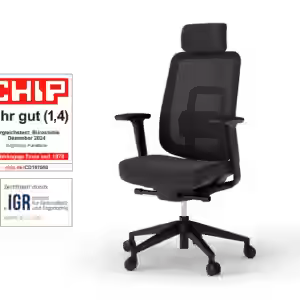 Ergotopia Ergotopia® PureBack ergonomischer Bürostuhl - Bequem und ergonomisch Sitzen zum Top-Preis mit Kopfstütze