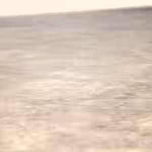 Wollrasen 5-Vlies 1m x 1,2m=6qm