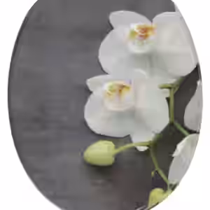 WC-Sitz Pretty - Premium Toilettendeckel direkt vom Hersteller