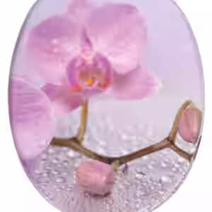 WC-Sitz Blooming - Premium Toilettendeckel direkt vom Hersteller
