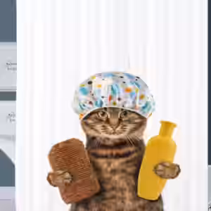 Duschvorhang Shower Cat 180 x 200 cm